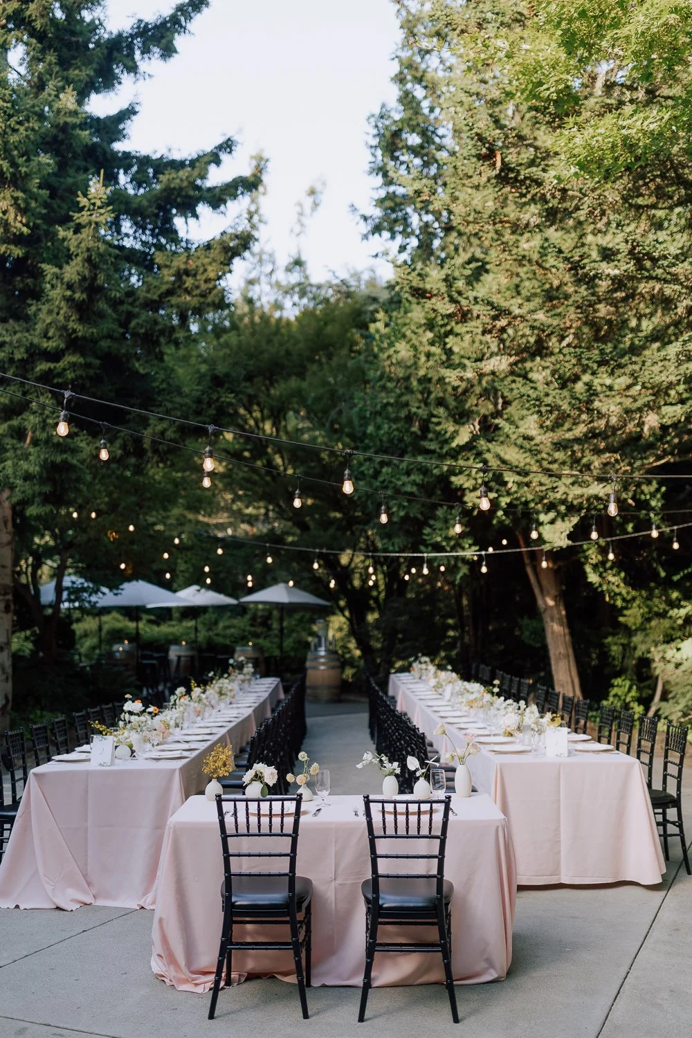 063 -108 -SAXP0830.jpg