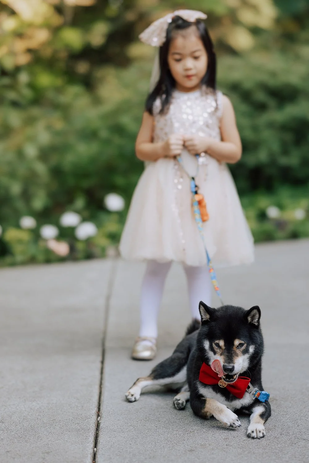 065 -062 -C42A1747.jpg