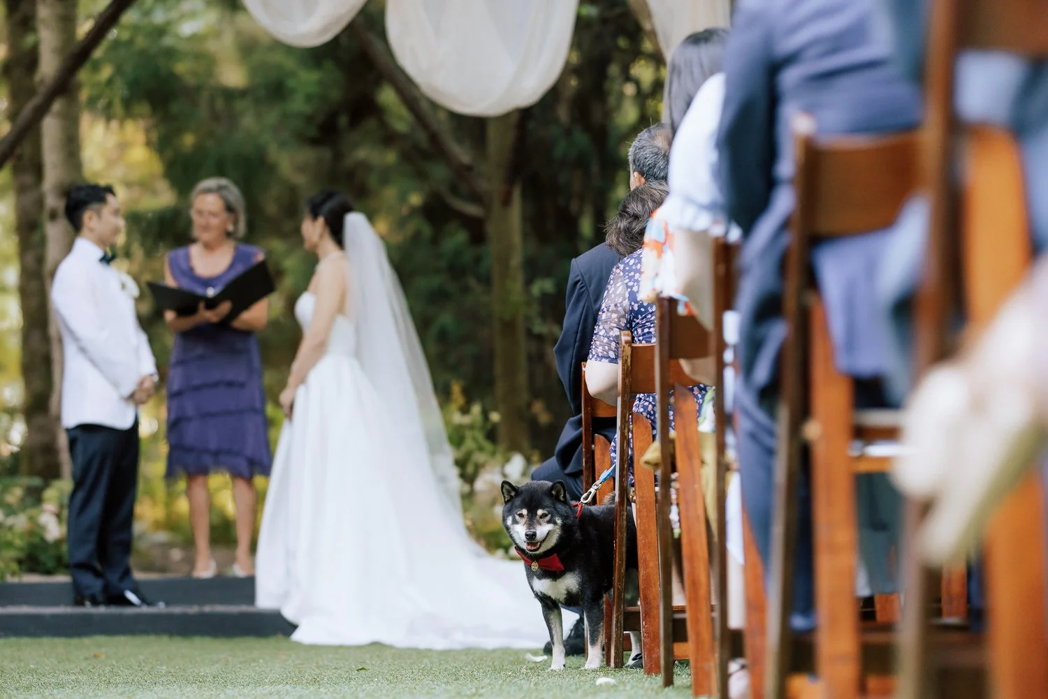 085 -077 -C42A2167.jpg