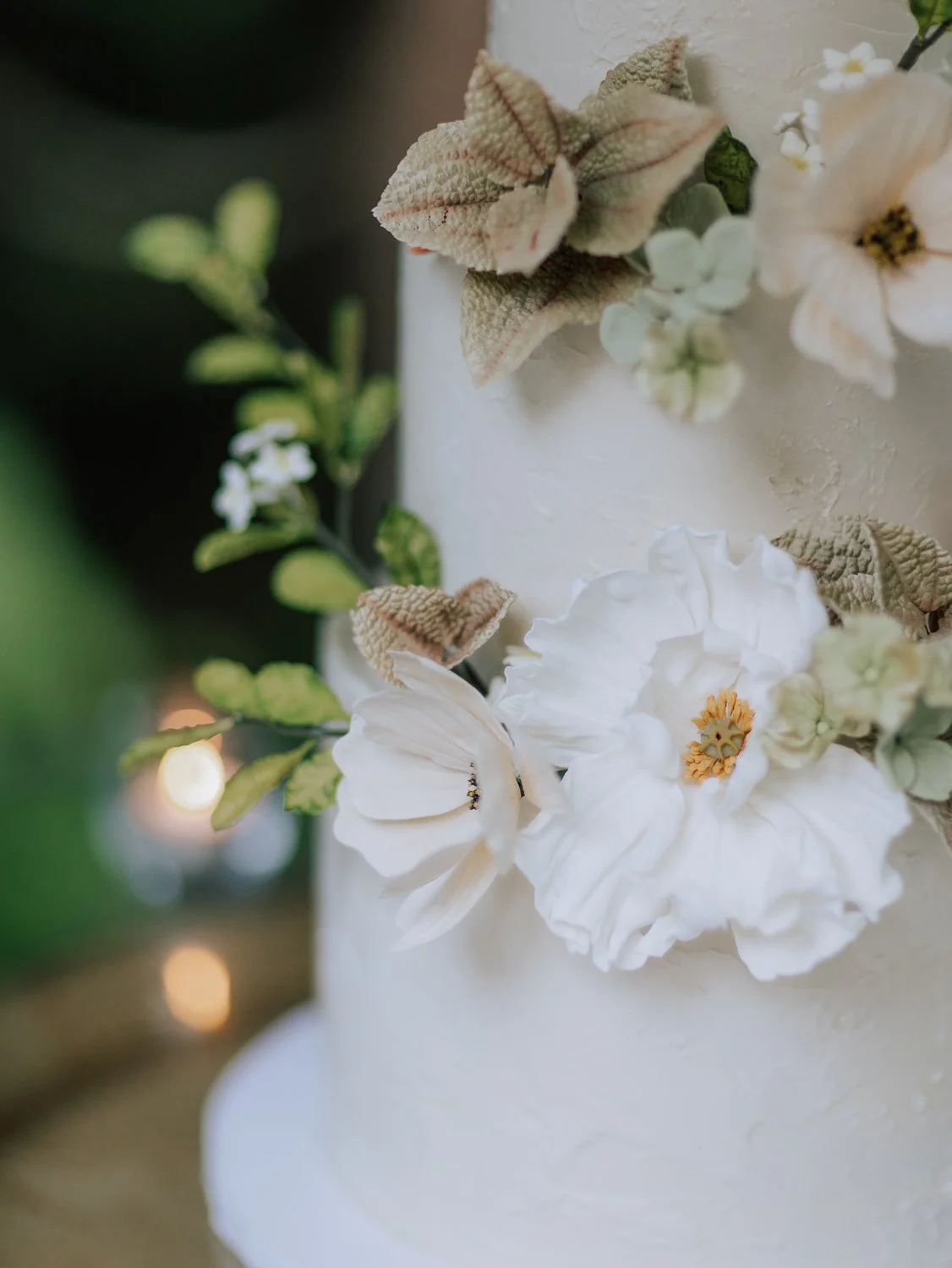 108 -115 -SAXP0910.jpg