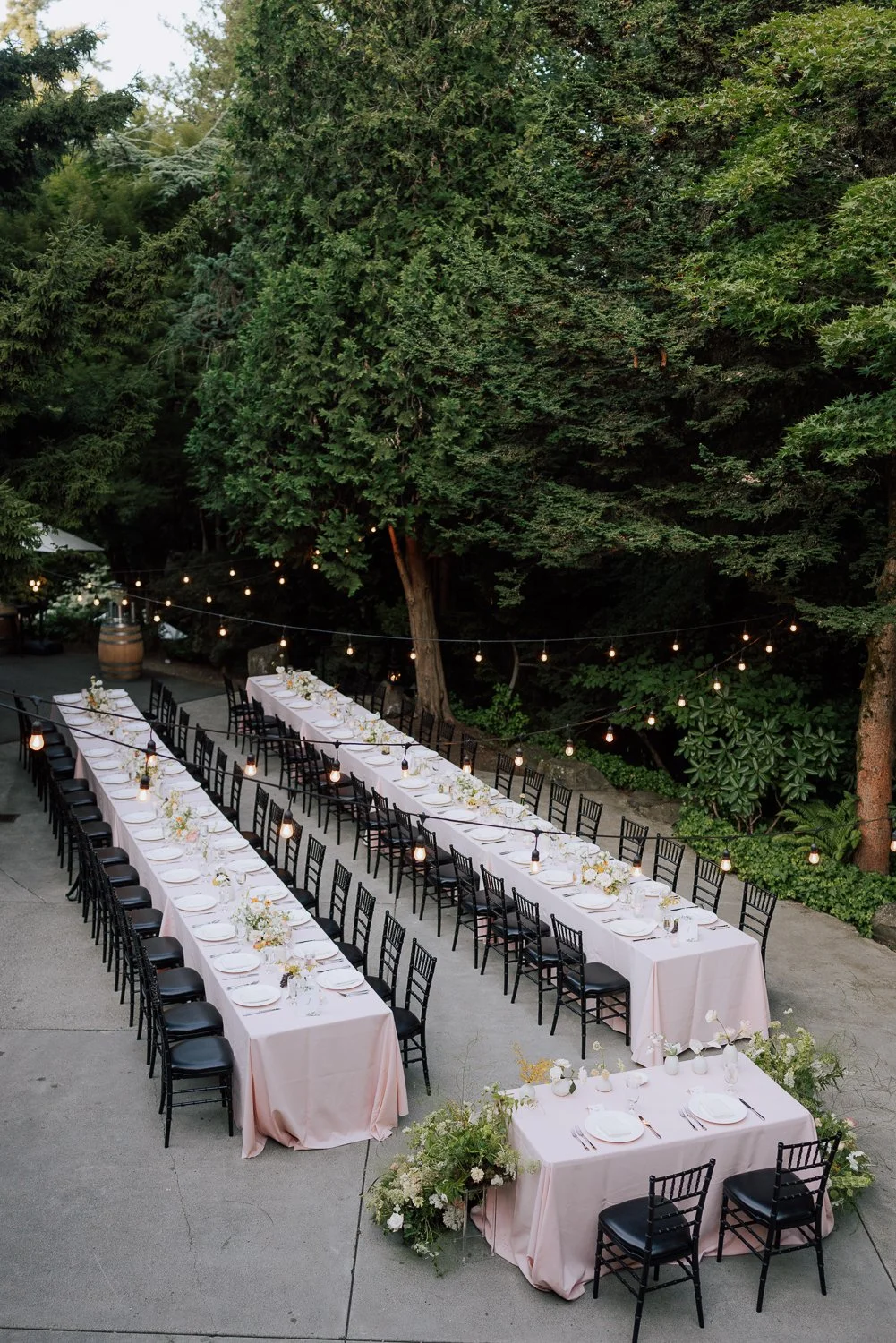 116 -105 -0L0A6643.jpg