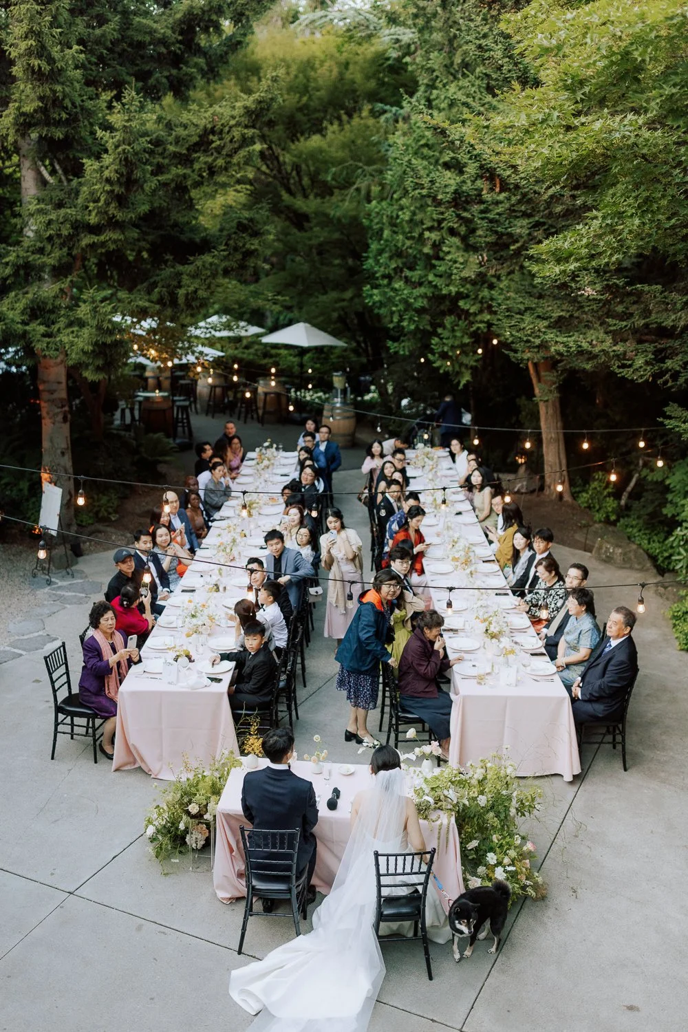 124 -124 -SAPV2171.jpg