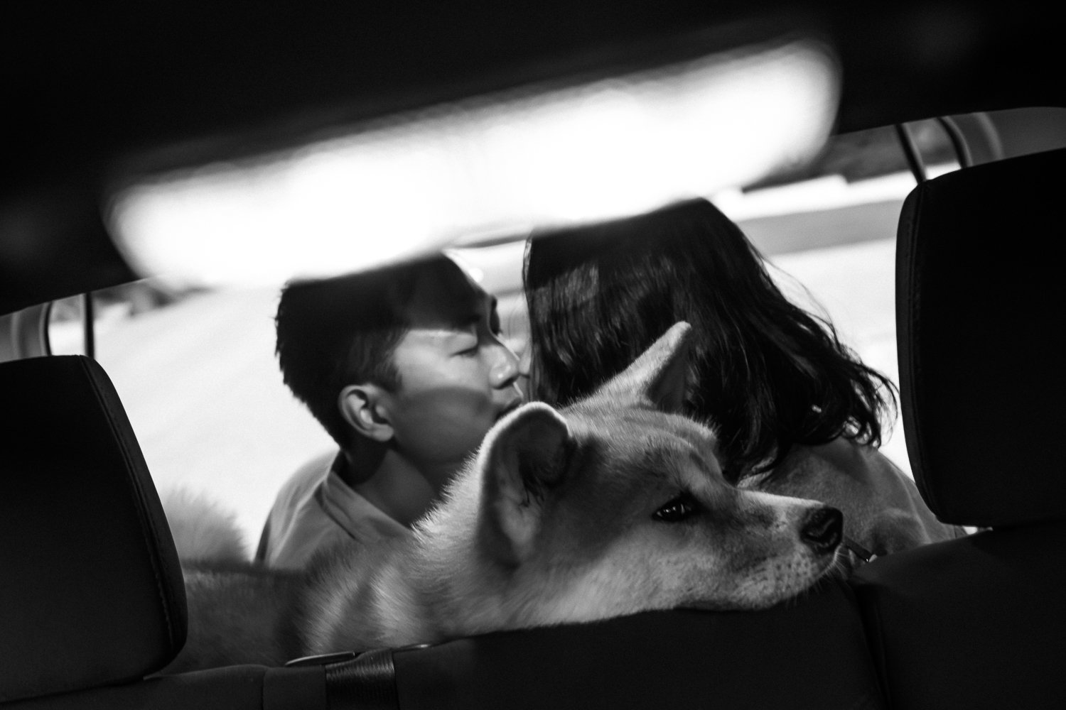 013 - Santa Barbara Prewedding Photo - 8K3A3917.jpg