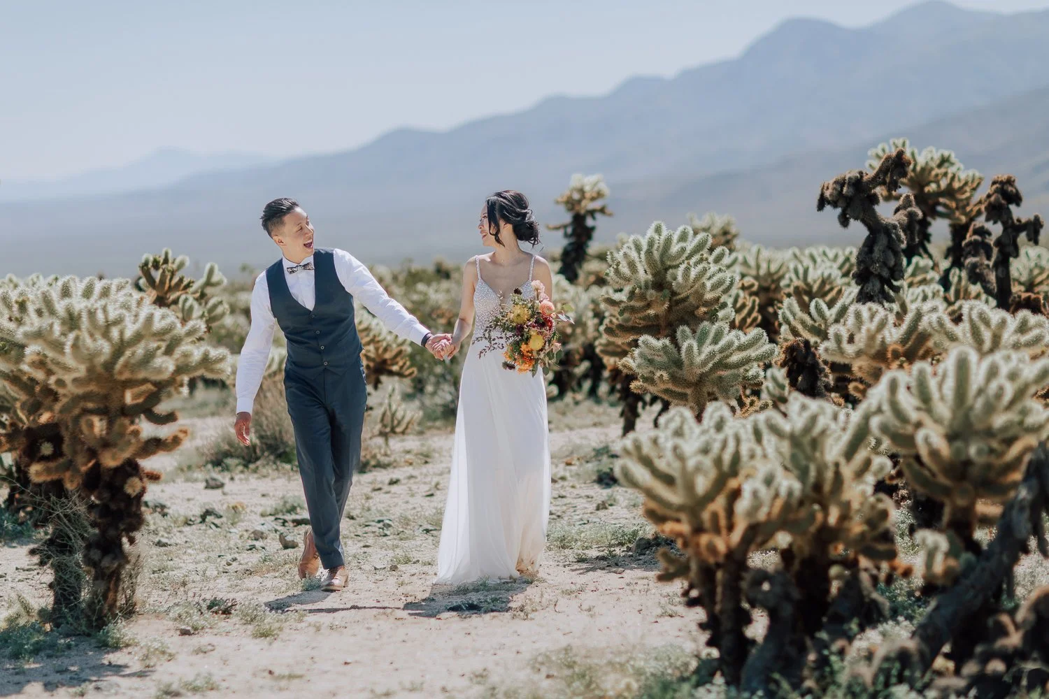 Joshua Tree National Park 