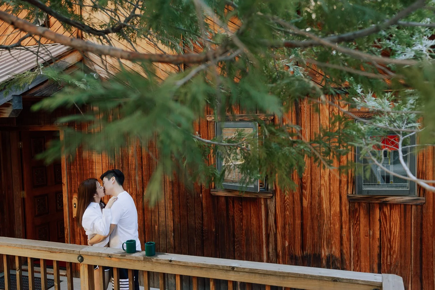 003 - Joshua Tree National Park Prewedding Photo - 8K3A6042.jpg