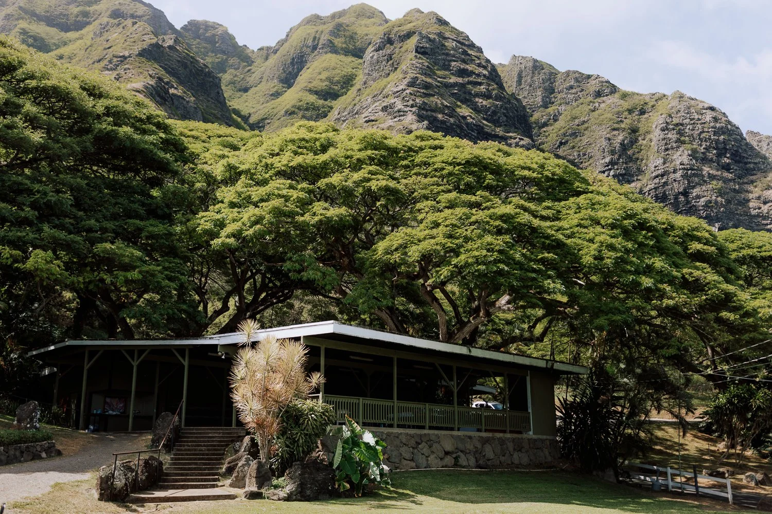 024- Paliku Gardens Kualoa Ranch Honolulu Hawaii Wedding -C42A1789.jpg