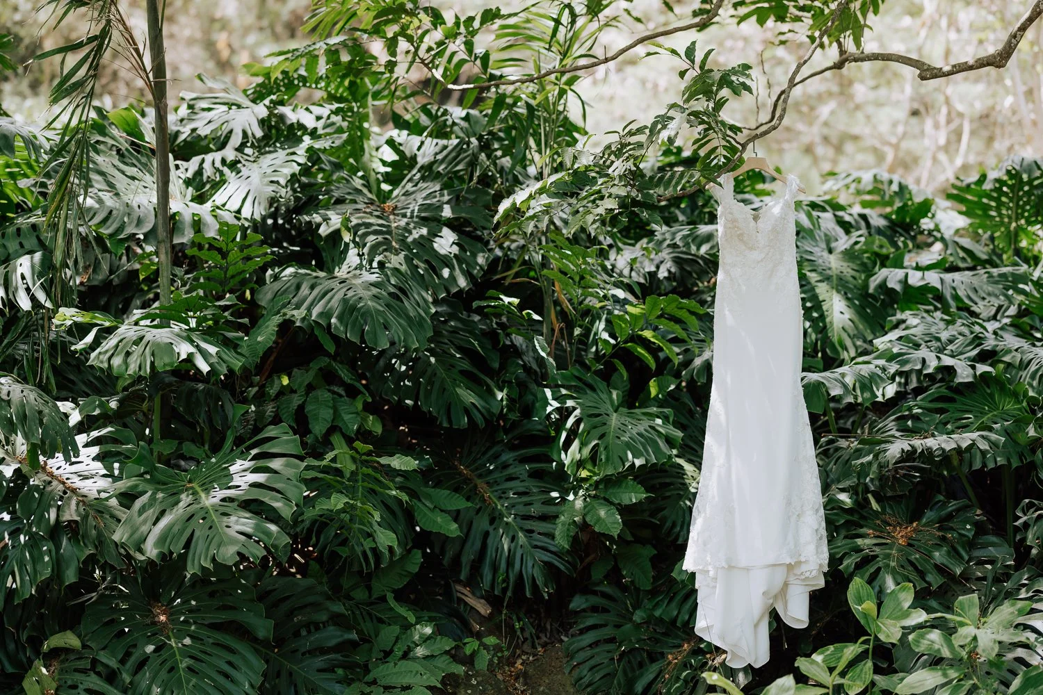 025- Paliku Gardens Kualoa Ranch Honolulu Hawaii Wedding -0L0A5585.jpg