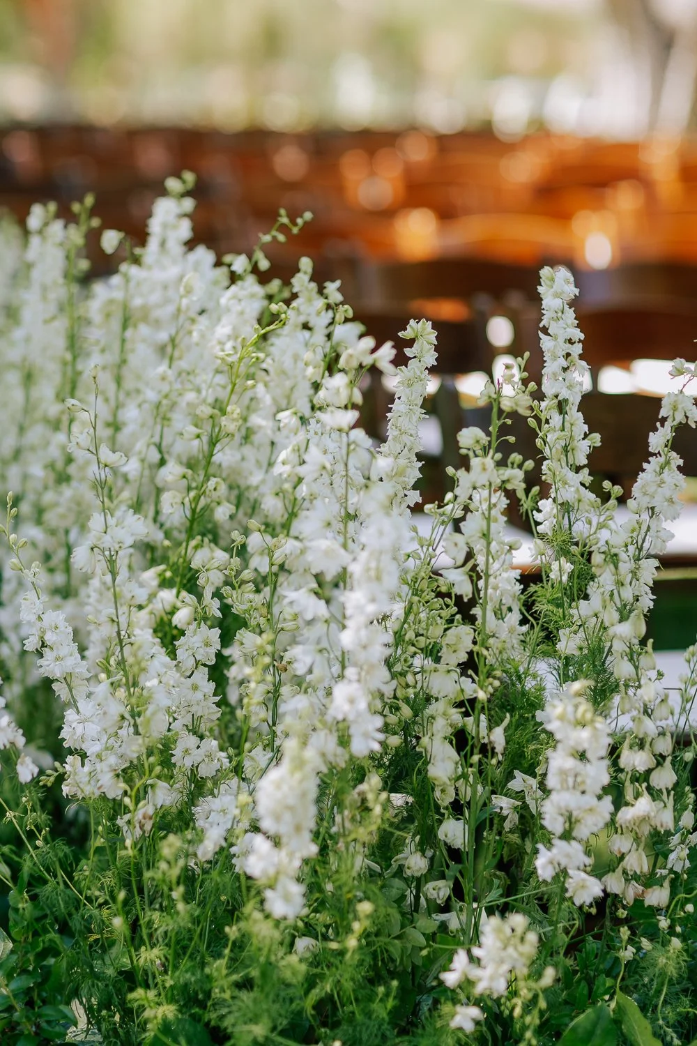 040- Hummingbird Nest Ranch Wedding Simi Valley CA Wedding -C92T2966.jpg
