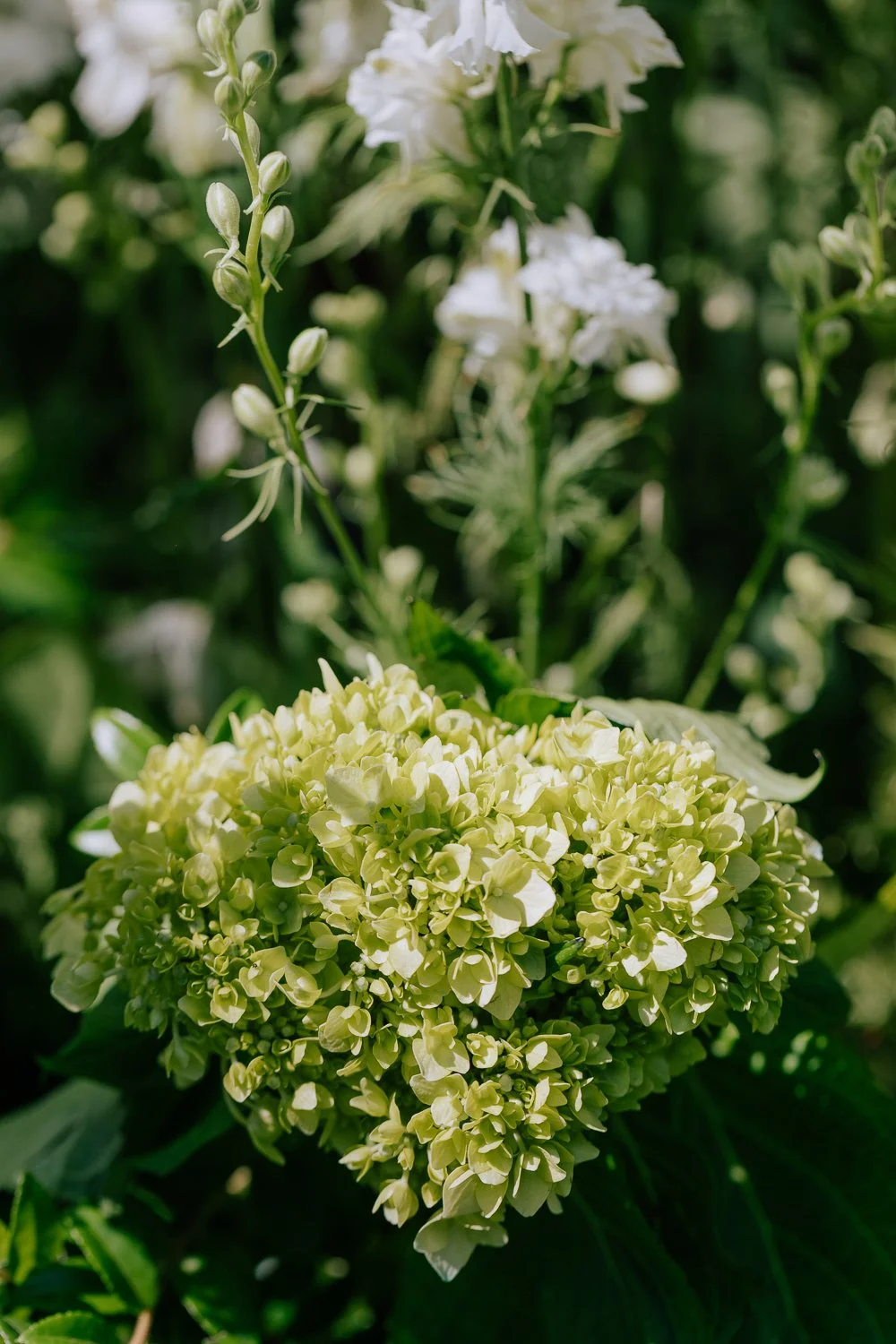 041- Hummingbird Nest Ranch Wedding Simi Valley CA Wedding -5DS_8266.jpg