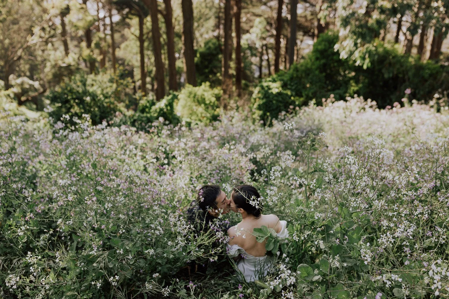 032 - San Francisco City Hall Civil Ceremony - Y&T -0L0A7776.jpg