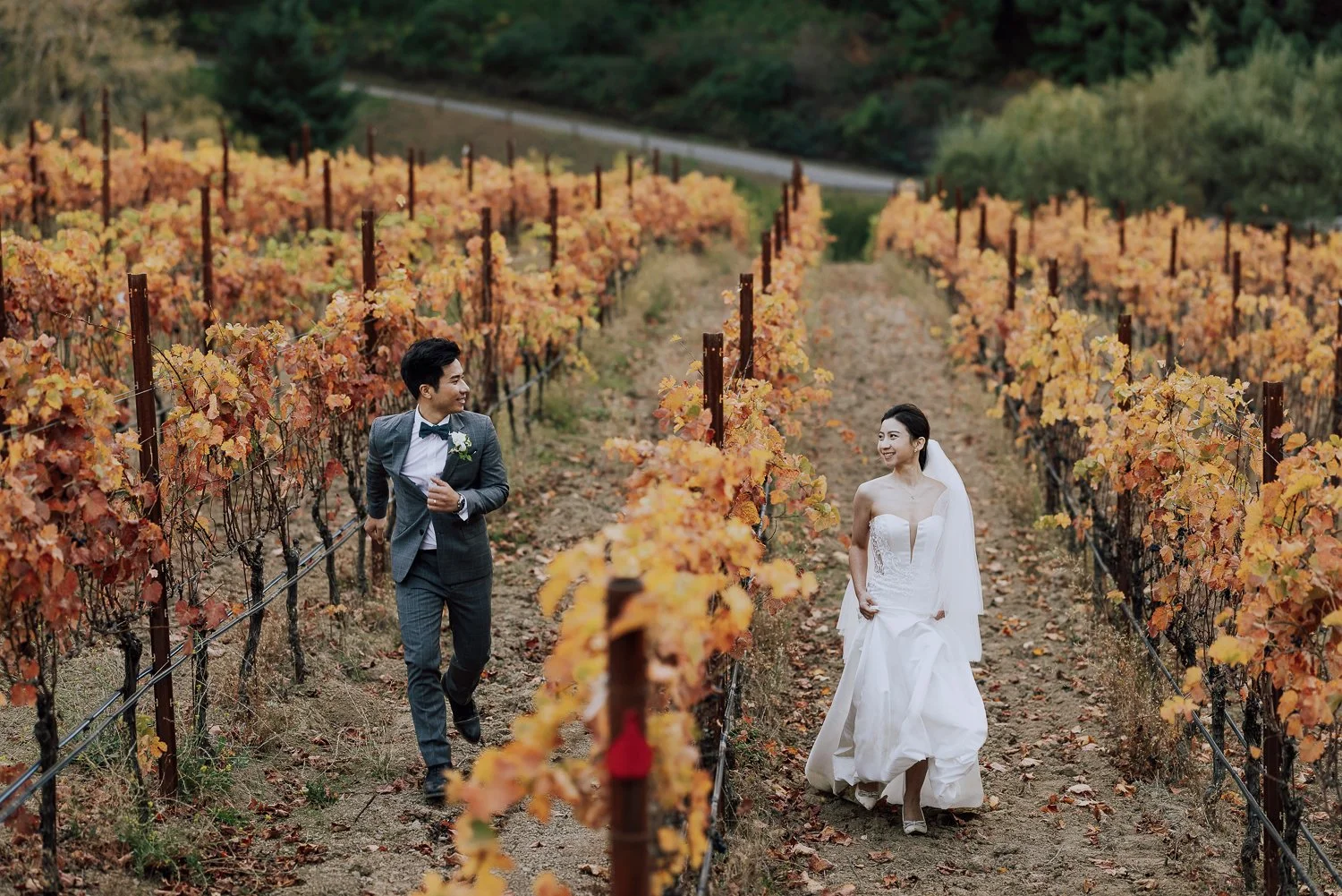047- Thomas Fogarty Winery Woodside Northern California Wedding -048-C42A3914.jpg