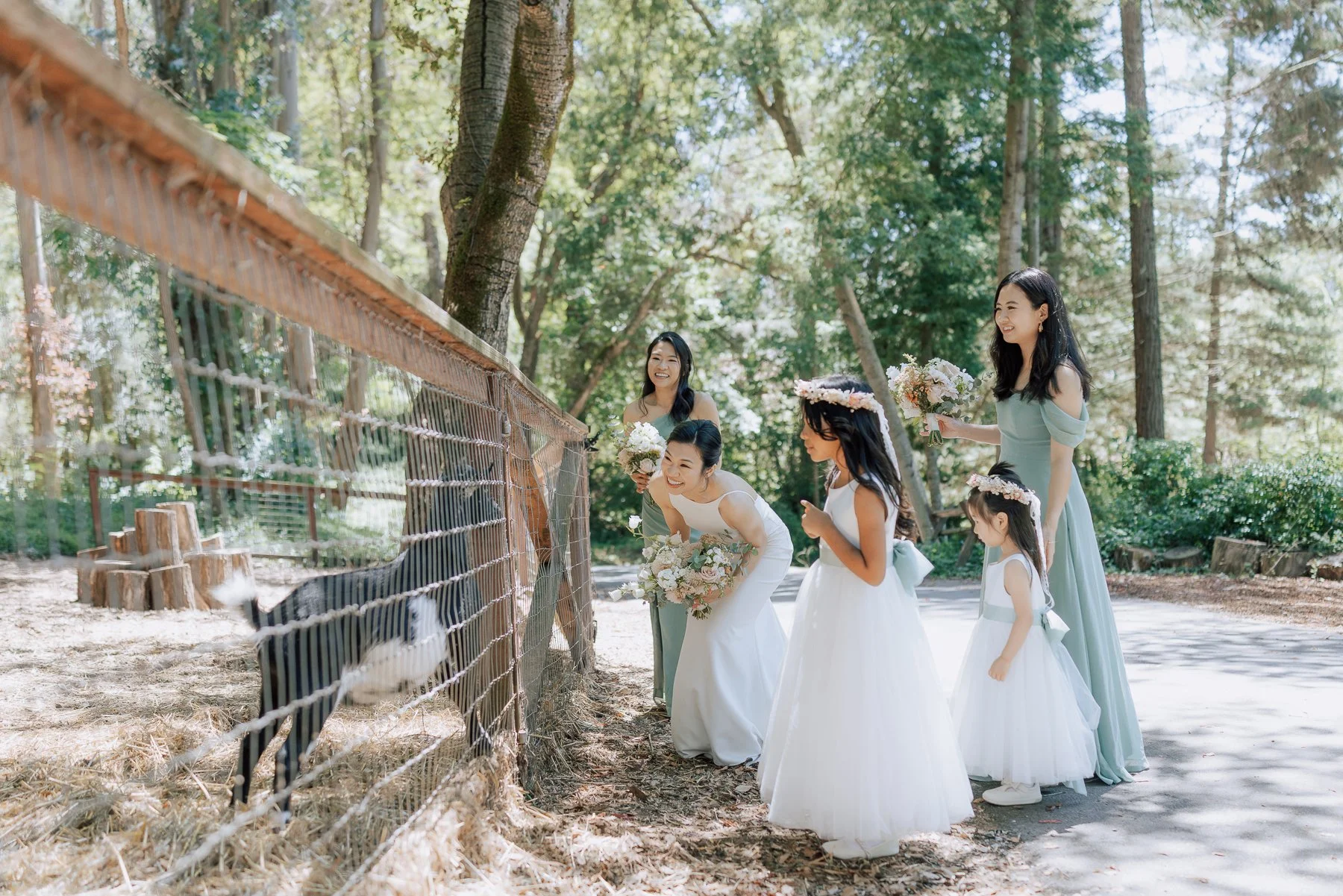 009- Sand Rock Farm California Wedding- J&K -0L0A7131.jpg