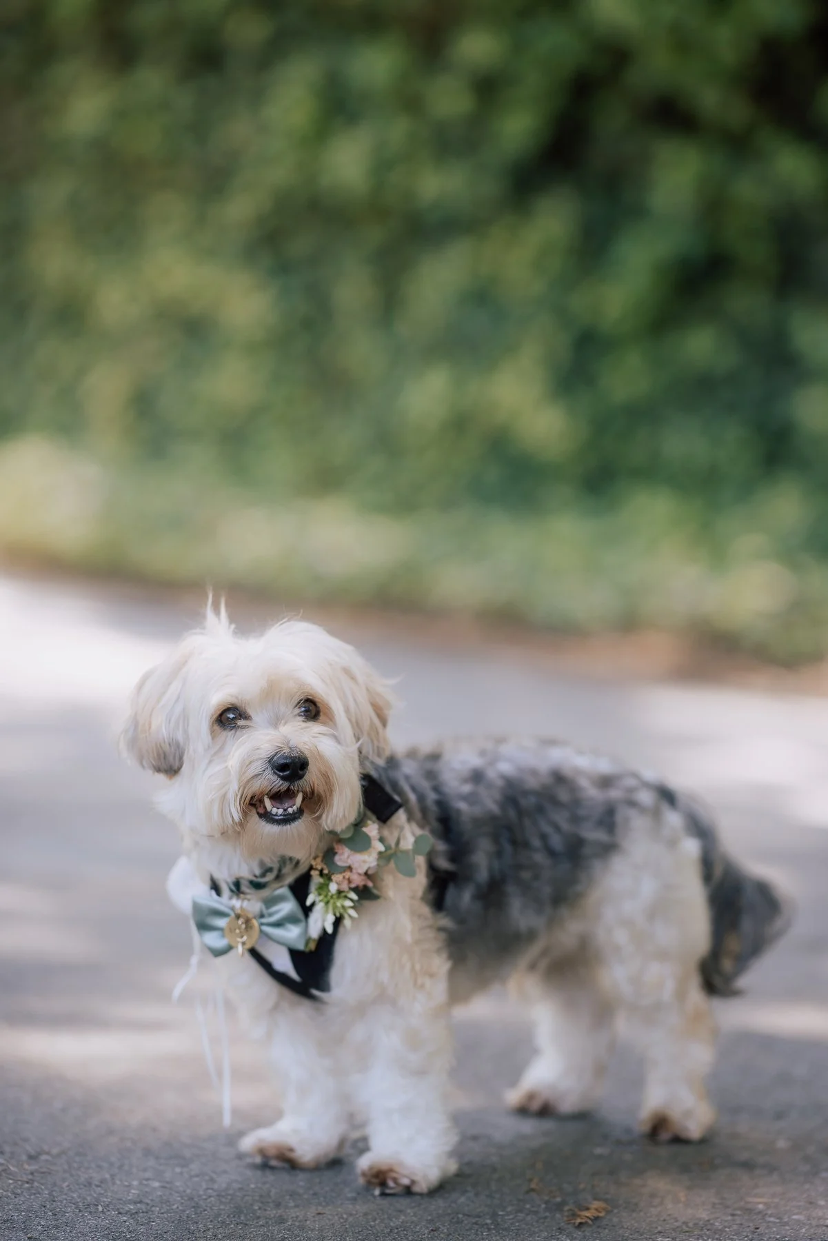 013- Sand Rock Farm California Wedding- J&K -C42A7547.jpg