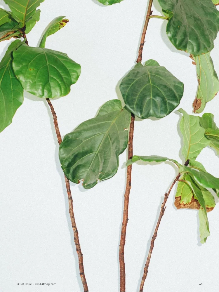 Photo Jul 16-12.jpeg