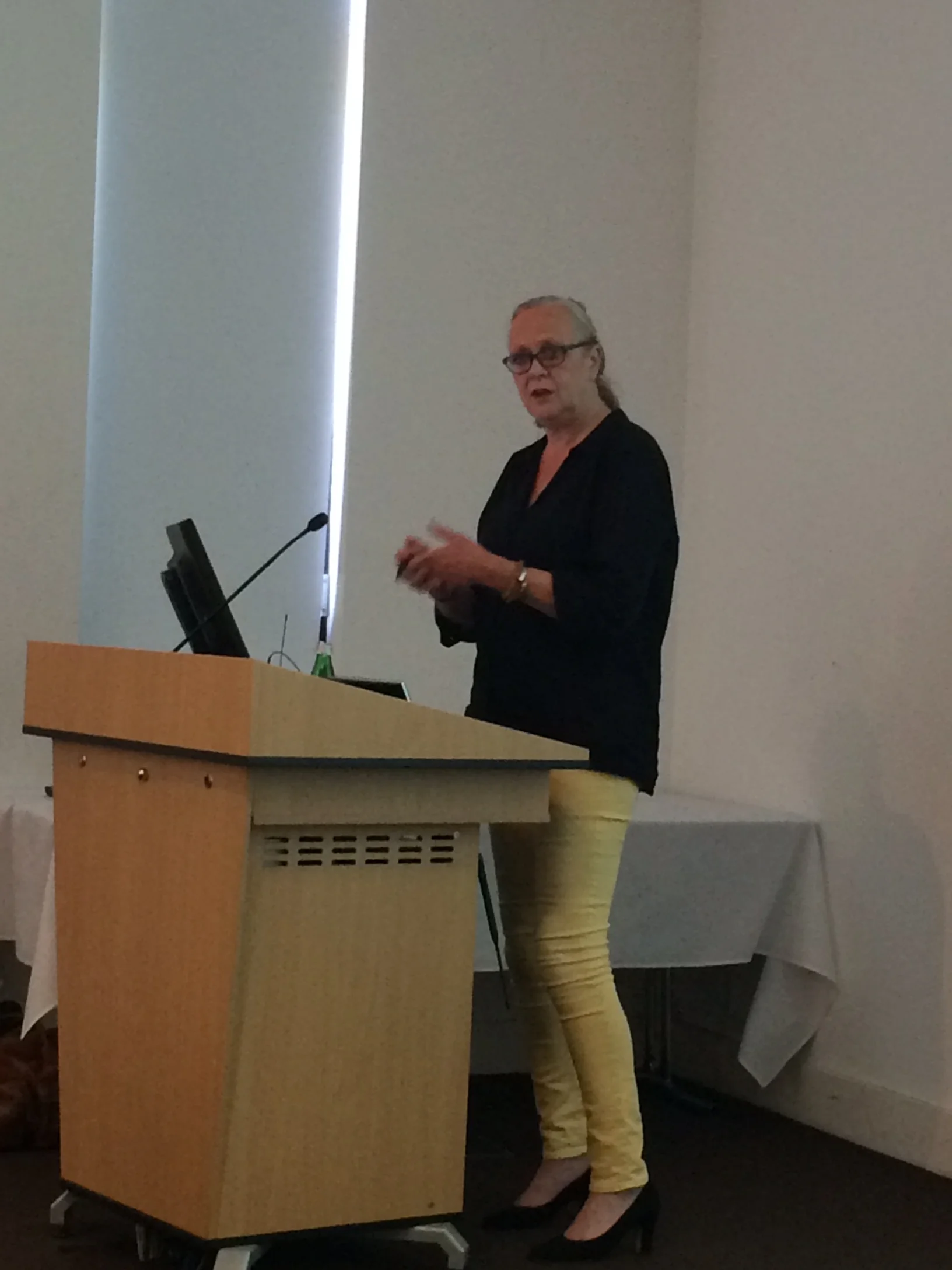 Dr Irene van Kamp presenting her research on the health effects of transport noise