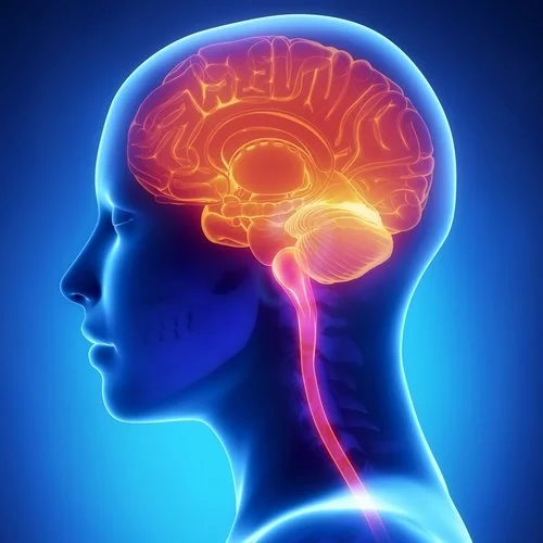 shutterstock_133874900.jpg