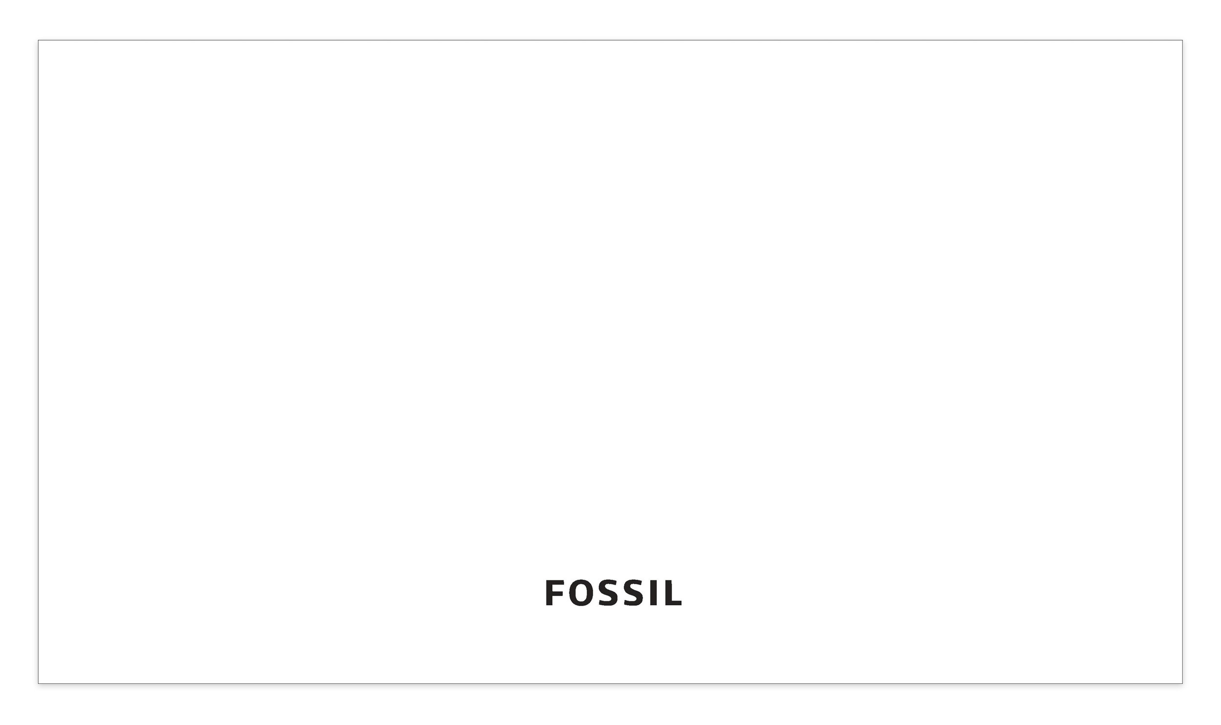 BrandStandardsGuide__0000s_0073_FSL2475878_2018_Fossil_Brand_Standards_Page_74.jpeg.jpg