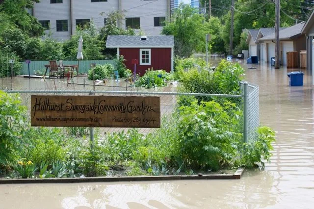 Calgary flood pictures, general contractor Calgary, renovations, restoration company, contractor Calgary 13.jpg