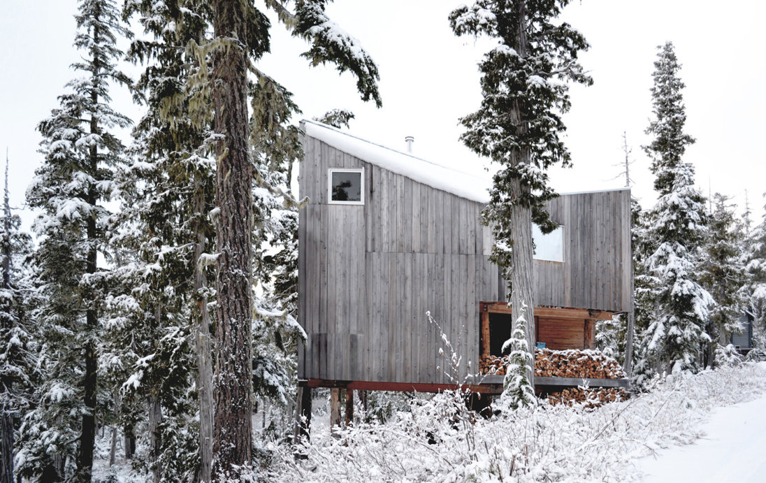 Alpine Cabin / Scott &amp; Scott Architects