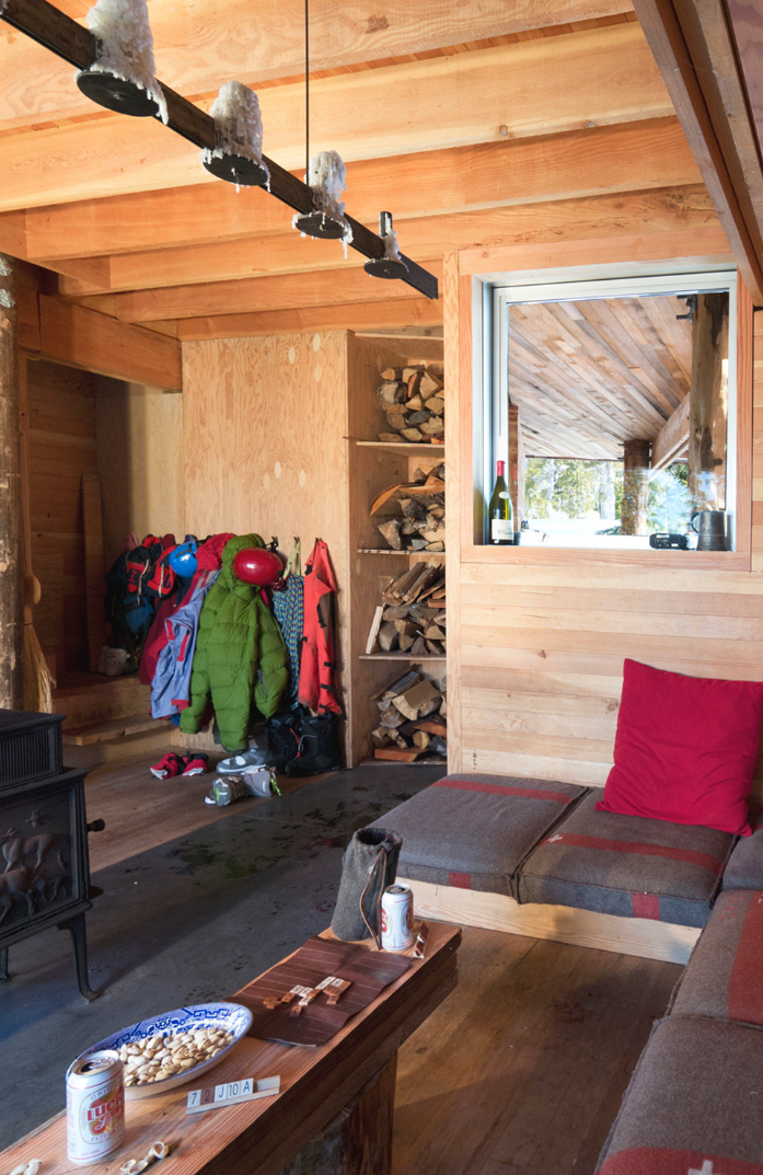 Alpine Cabin / Scott &amp; Scott Architects
