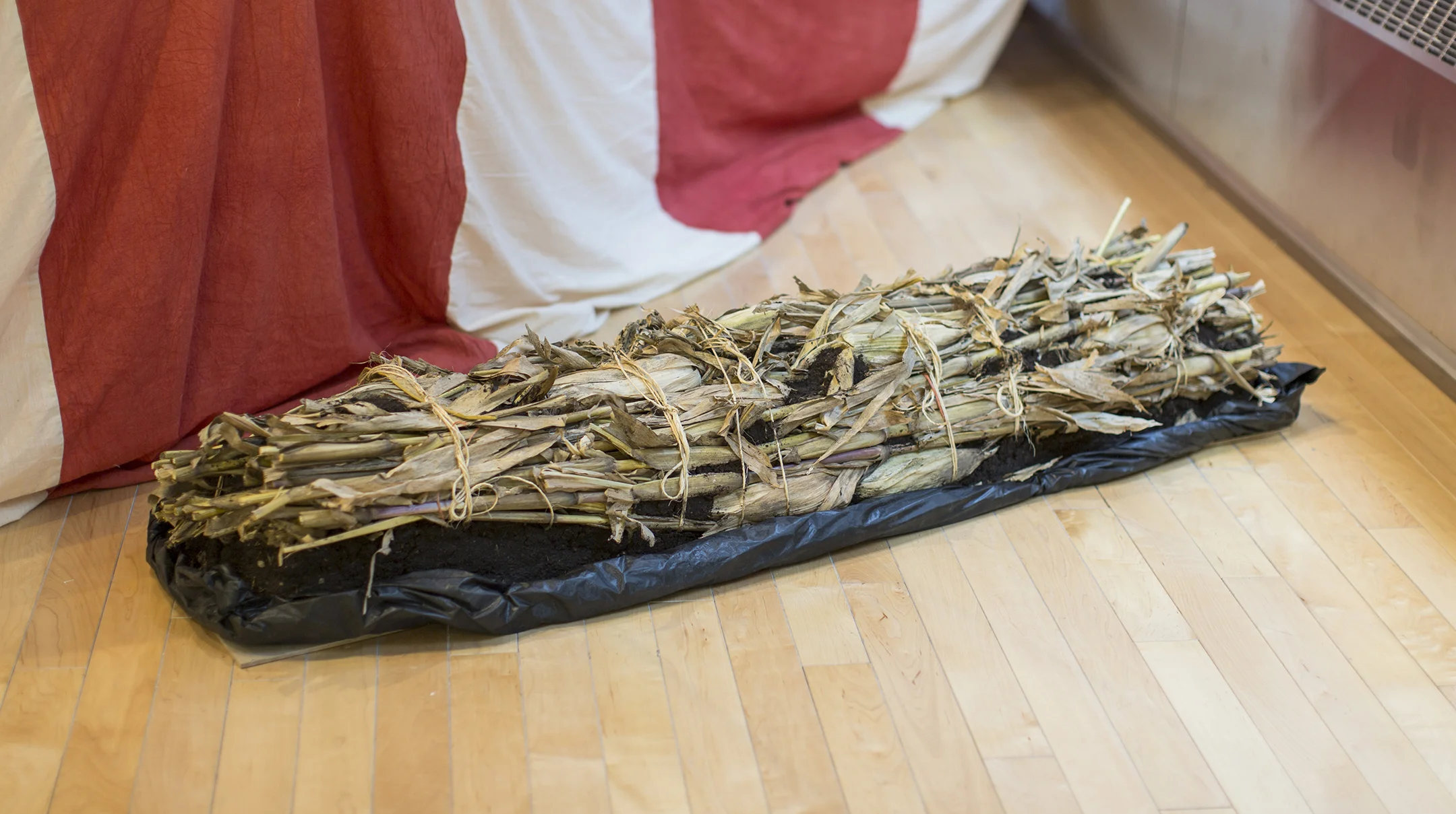 "Untitled," 2016. For Matthew. Soil, corn, plastic.