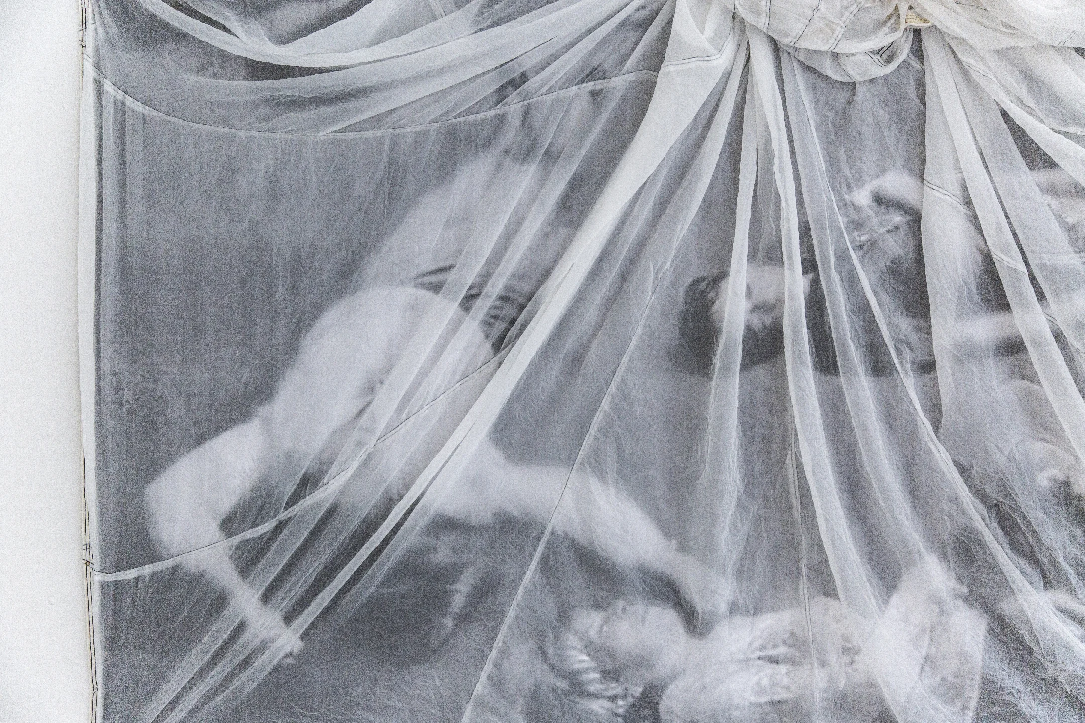 "Shroud," 2016. Detail.
