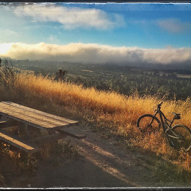 Summer is here #mtb #scenic #ibis #santacruz #lovinlife #favoritespotonearth