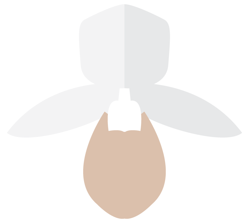 ES_Branding_logo.png