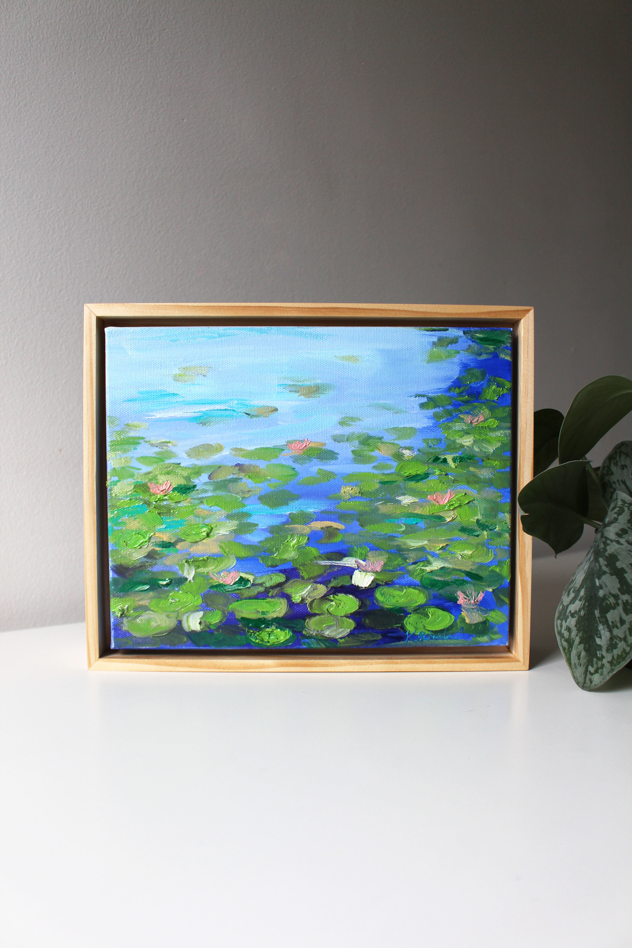 Nymphaea_orig_framed_stylized.jpg