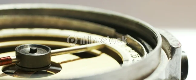 93807296.jpg
