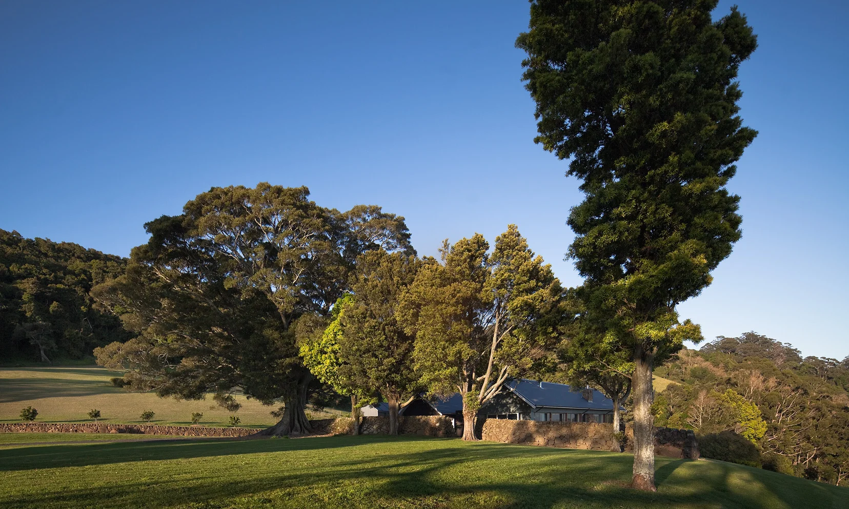 Saddleback_0001.jpg