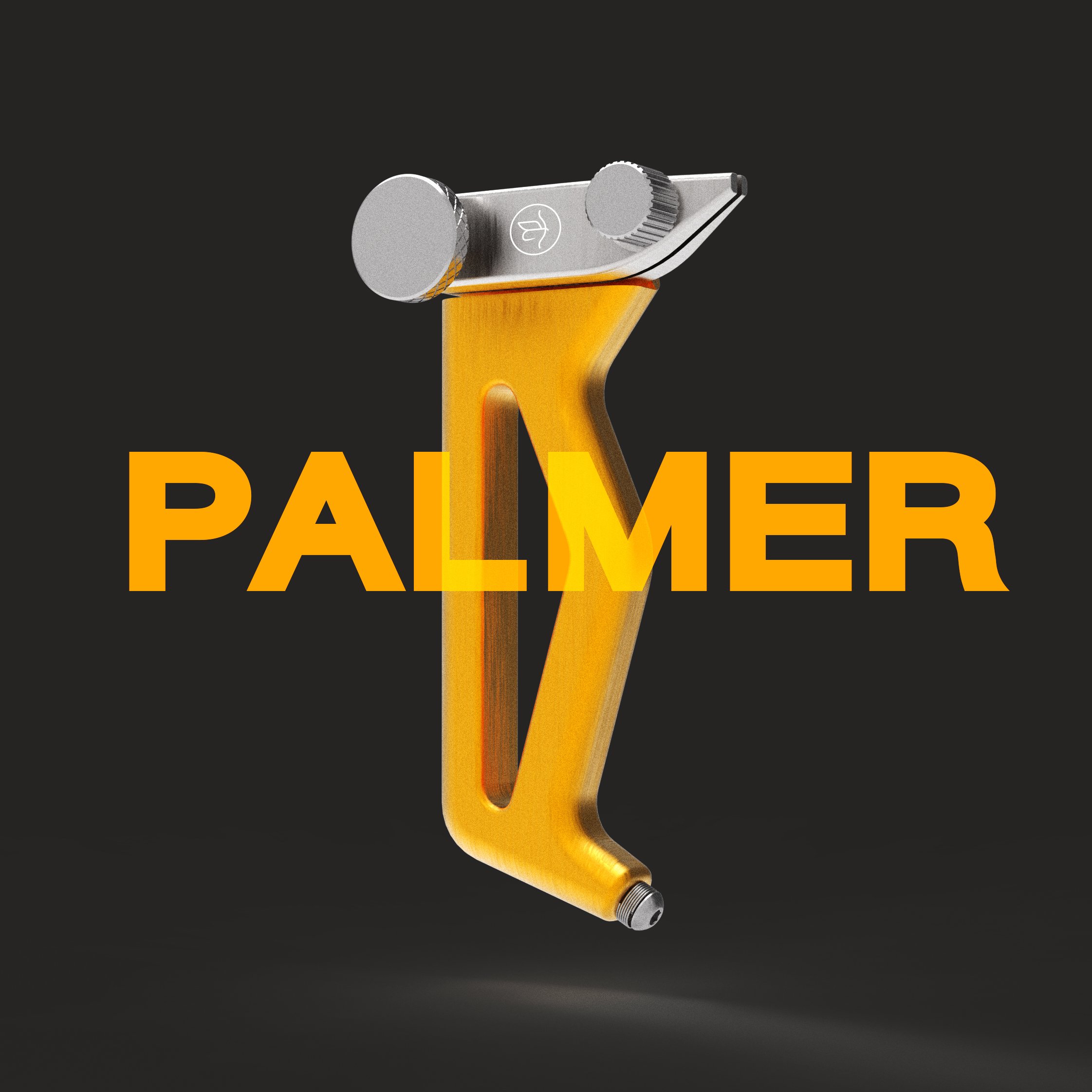 Palmer_launch1.jpg