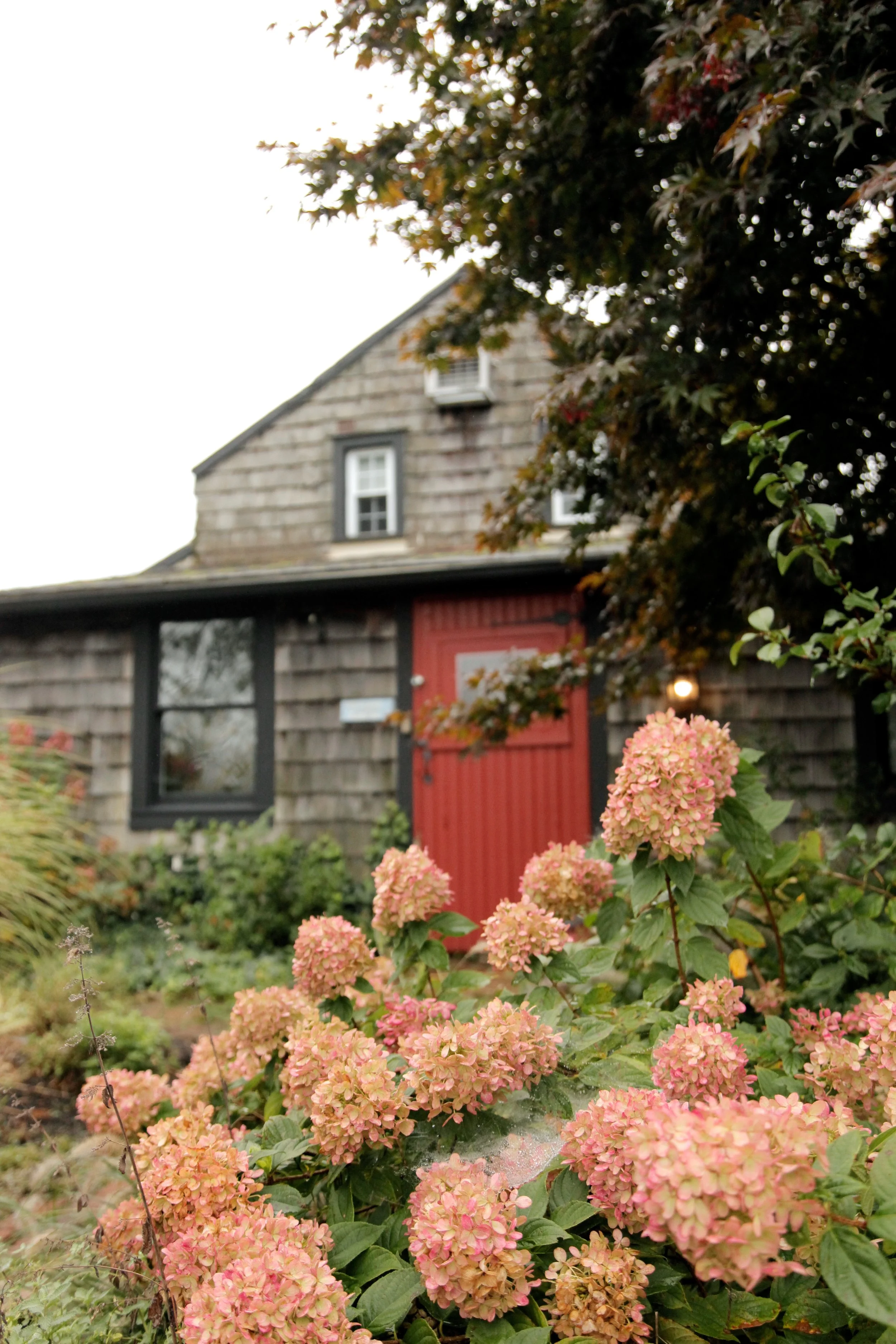 b&mb&b (22).jpg