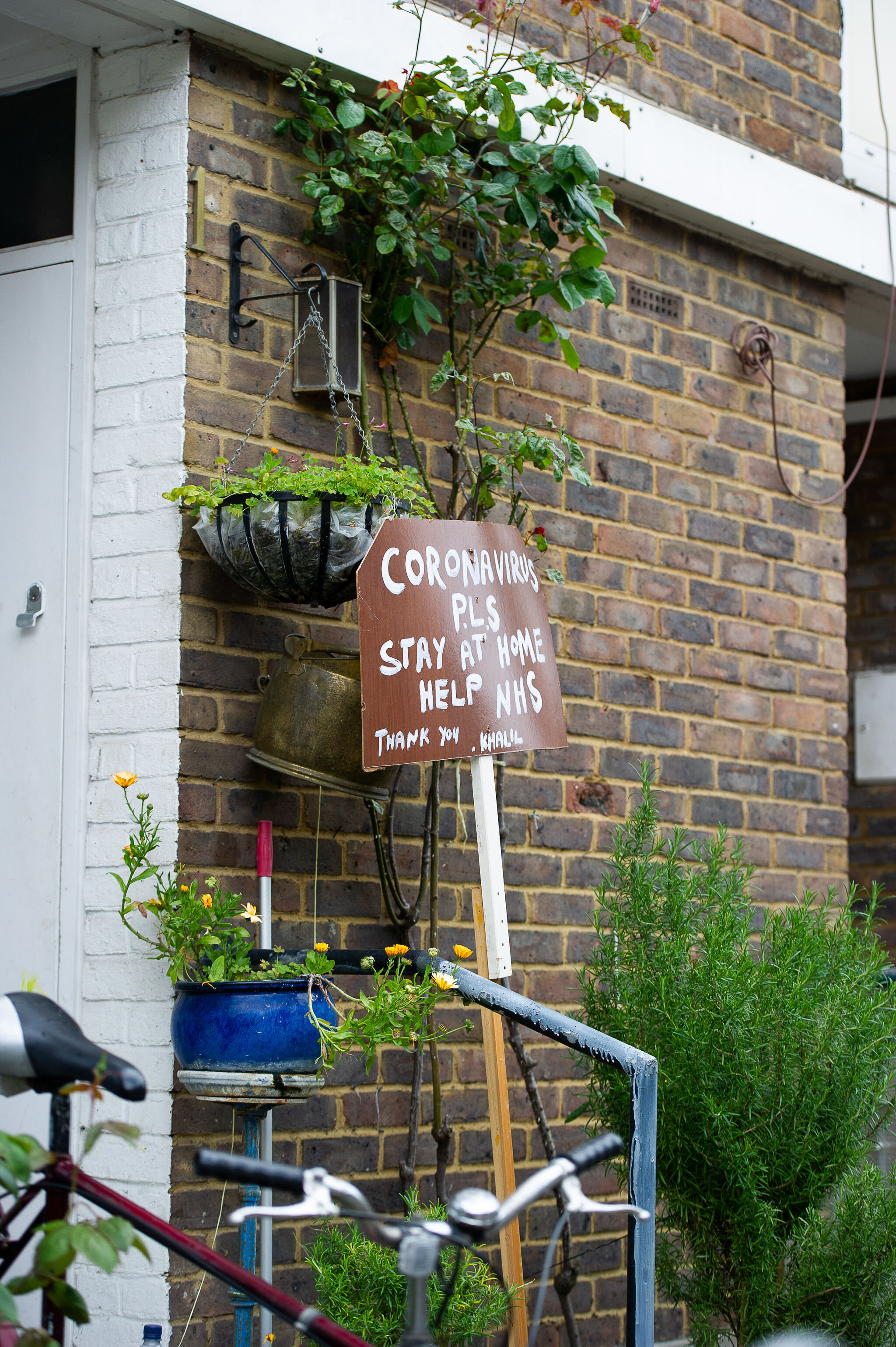 DSC_1689.jpg