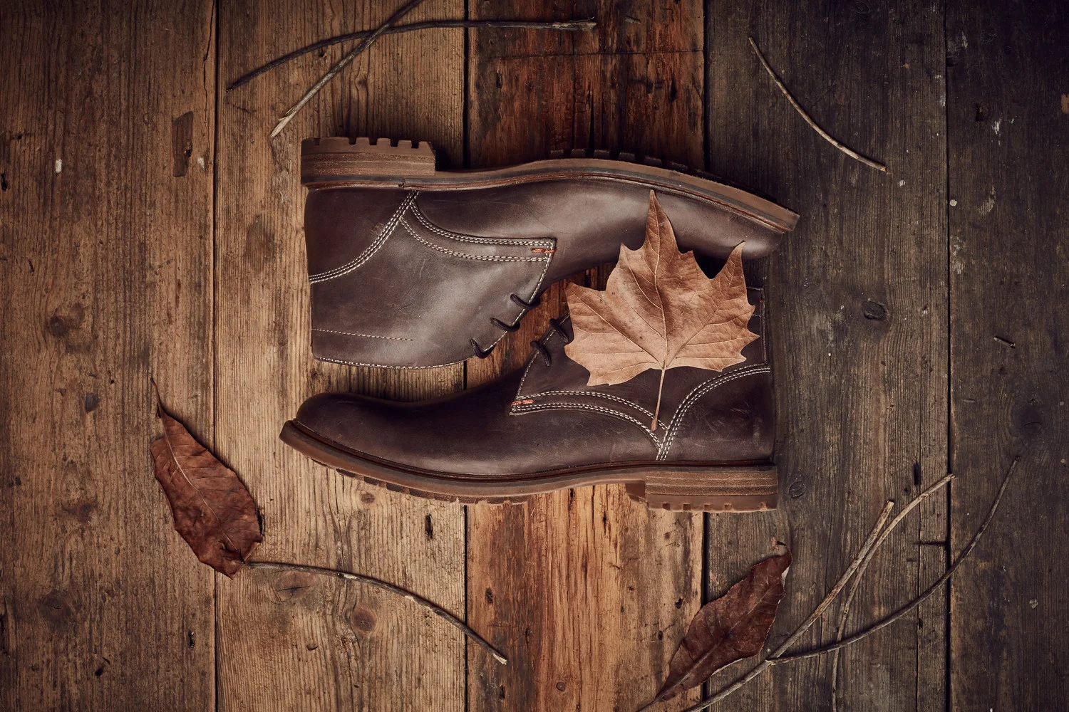 HUSH puppies 1.jpg