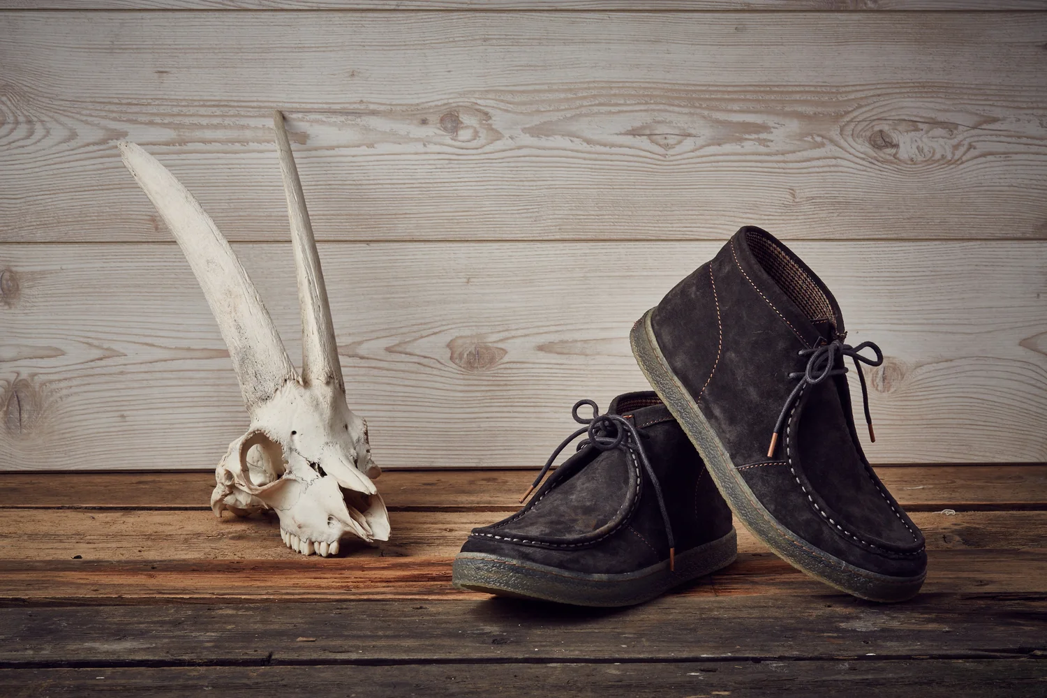 HUSH puppies 2.jpg