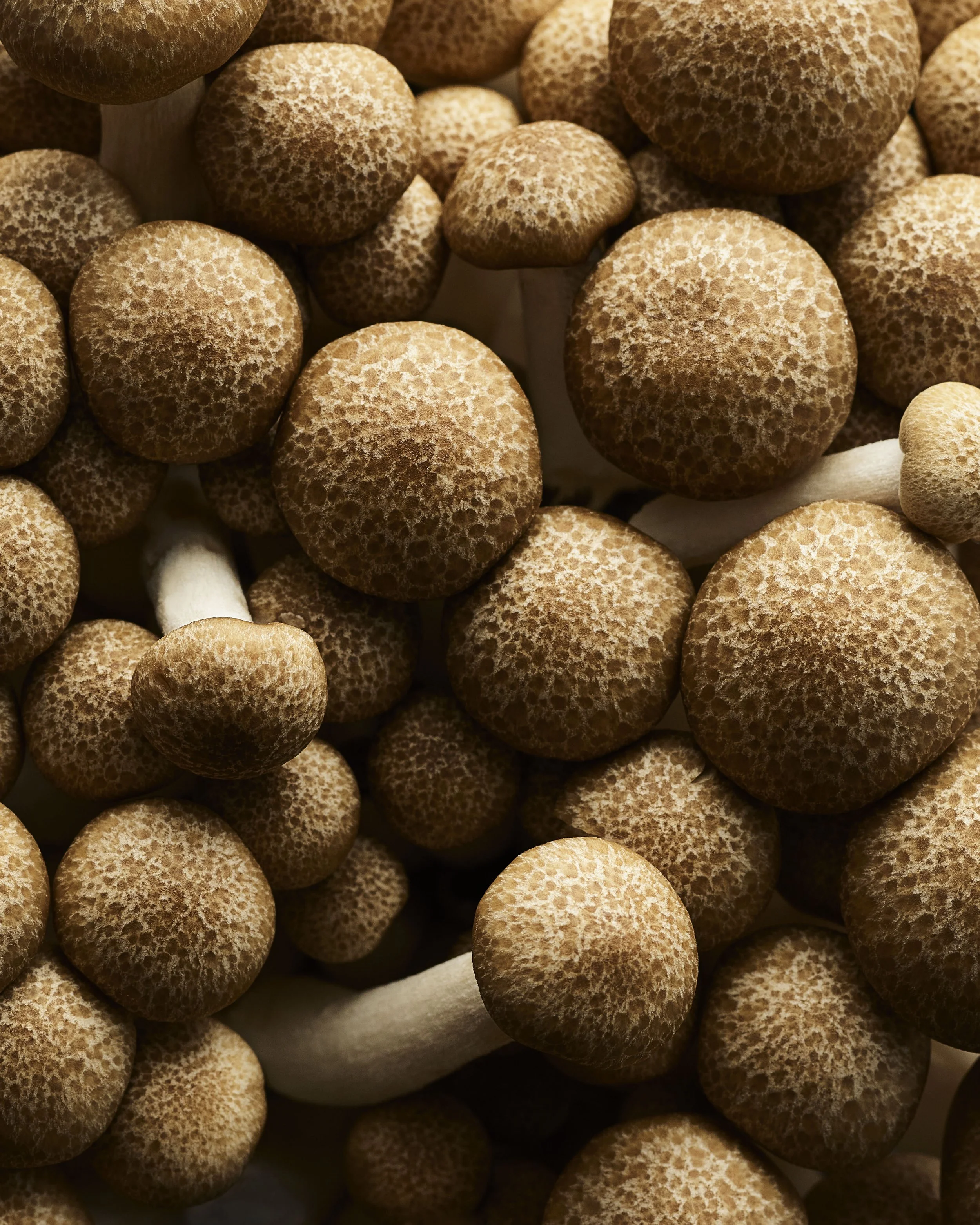 SHOT_03_RUBY_FOOD_INDREDIENTS_109468 copy.jpg