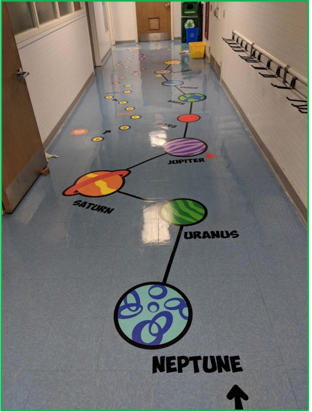 Sensory Pathway_Loker_1.png