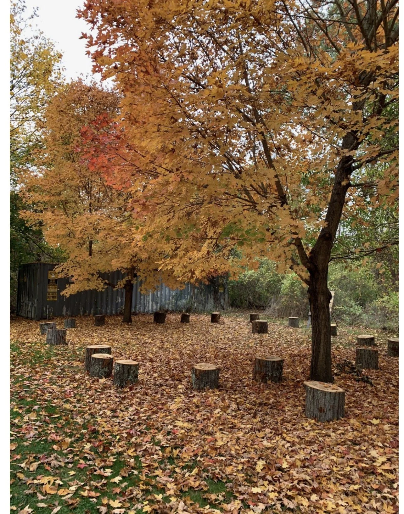 Loker Outdoor Classroom