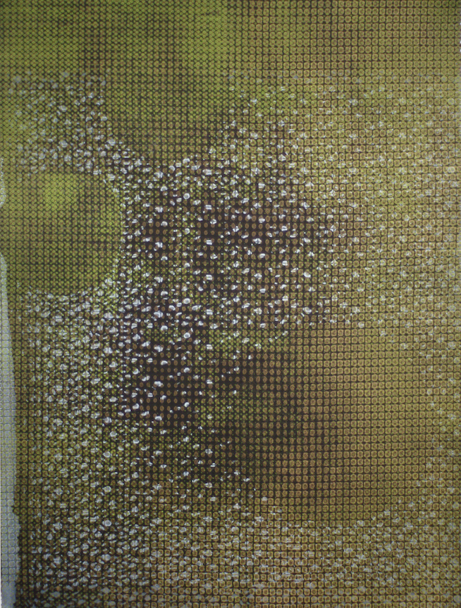Murmuration