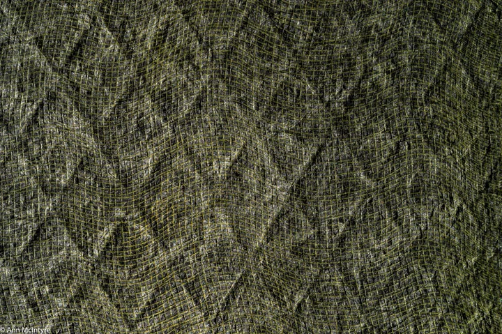 Noir - Detail