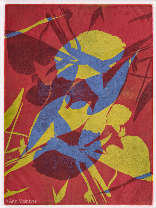 Morning Glory Silhouette in Chartreuse, Blue, Red-Orange, & Red