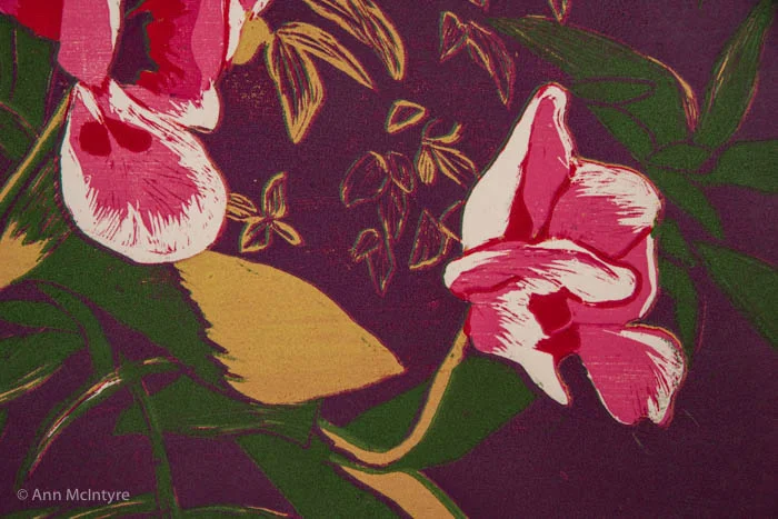 Tulips in Purple Garden
