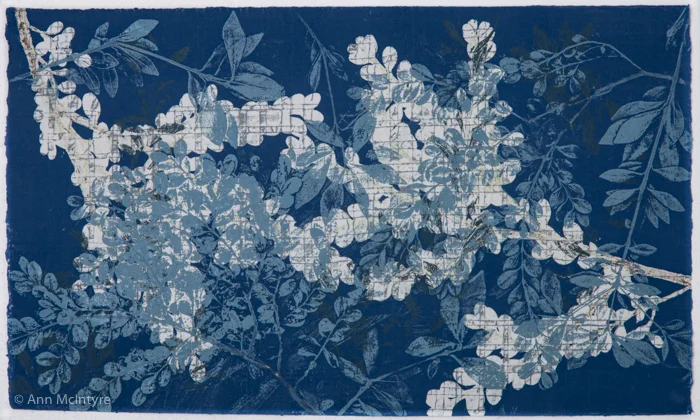 Cerulean Thicket