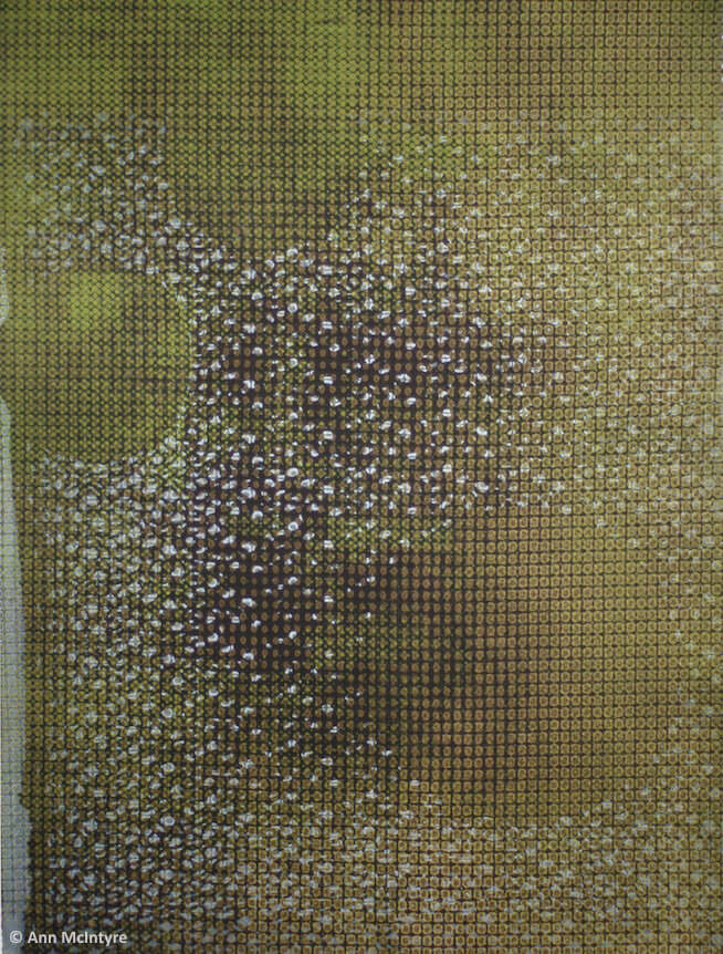 Murmuration