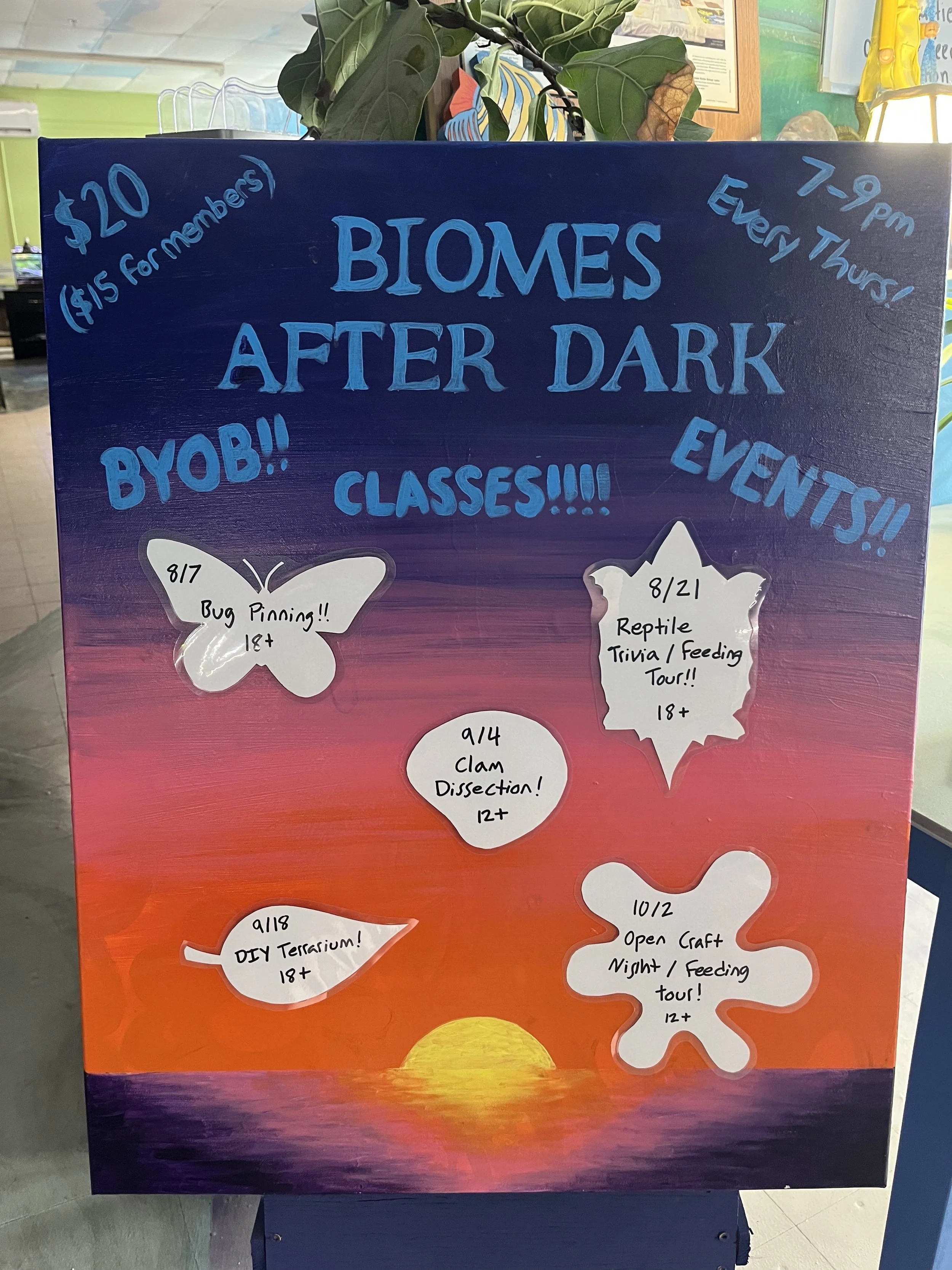 Biomes After Dark - DIY Terrariums (18+)