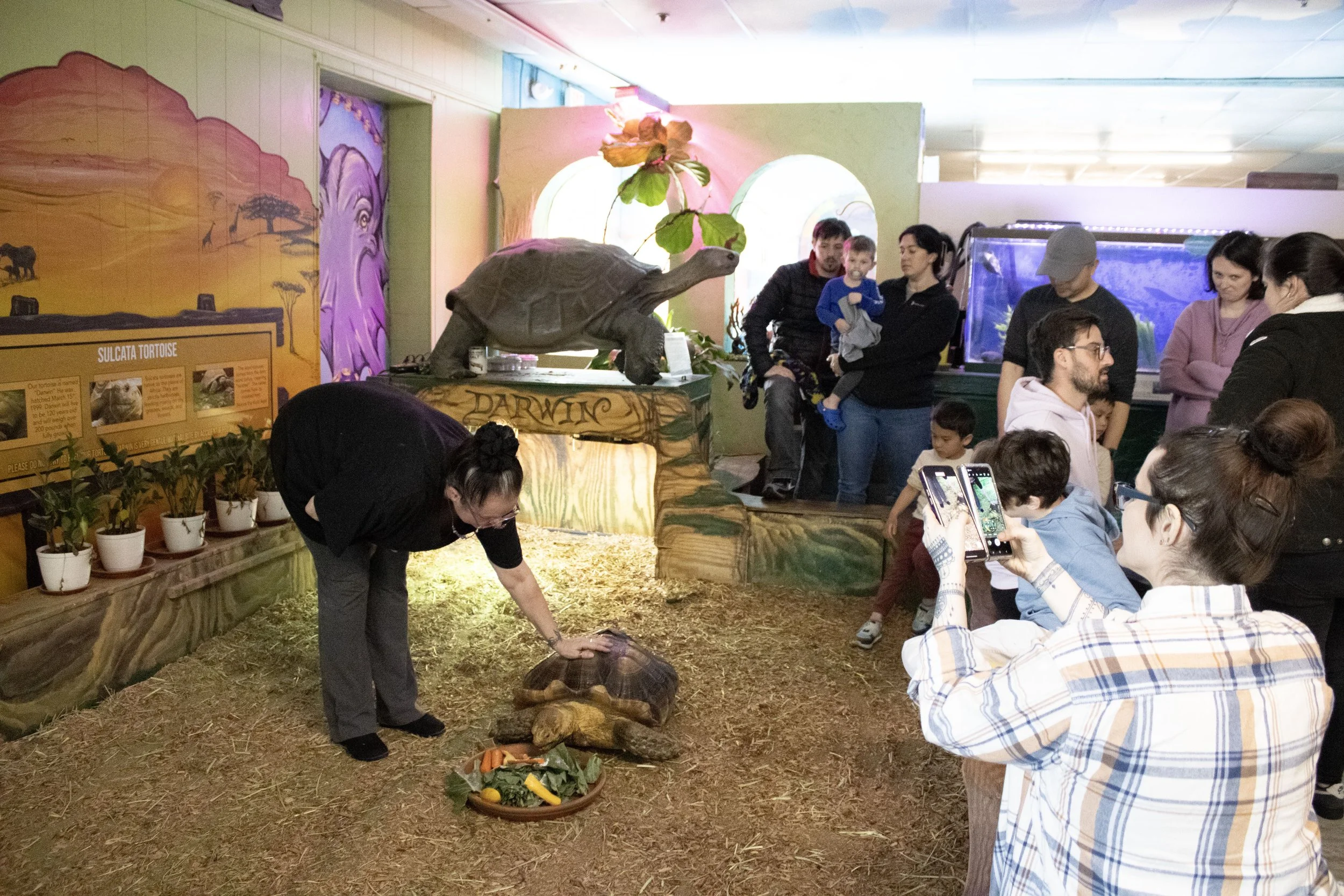 Adult Petting Darwin w Crowd.jpeg