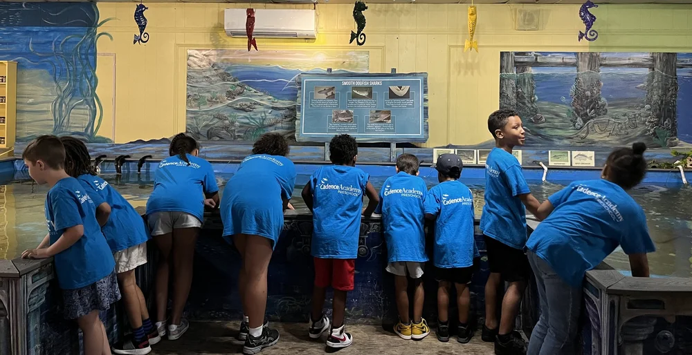 Schools - Biomes Marine Biology Center