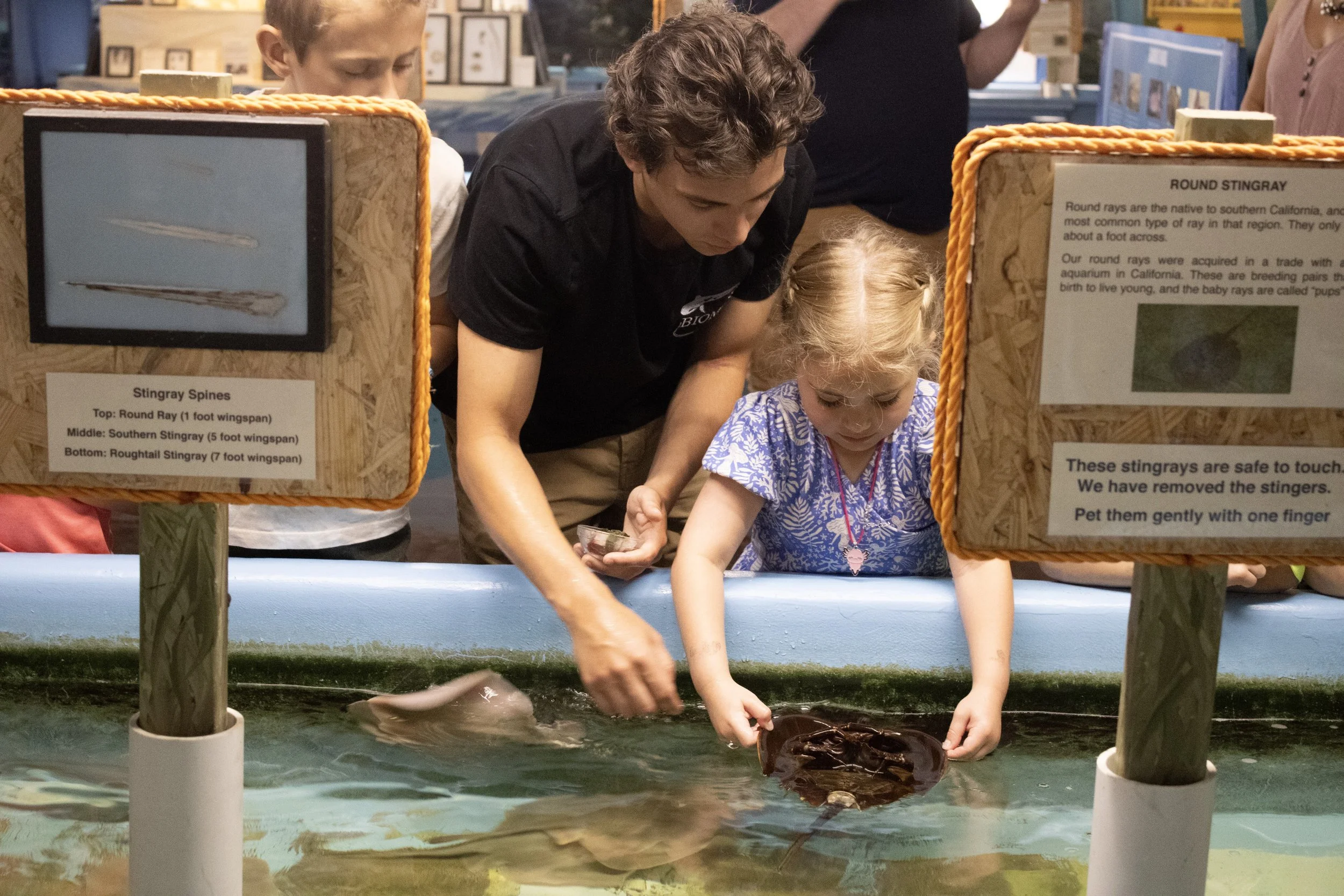Bday Party Horseshoe Crab Feeding 2.jpeg