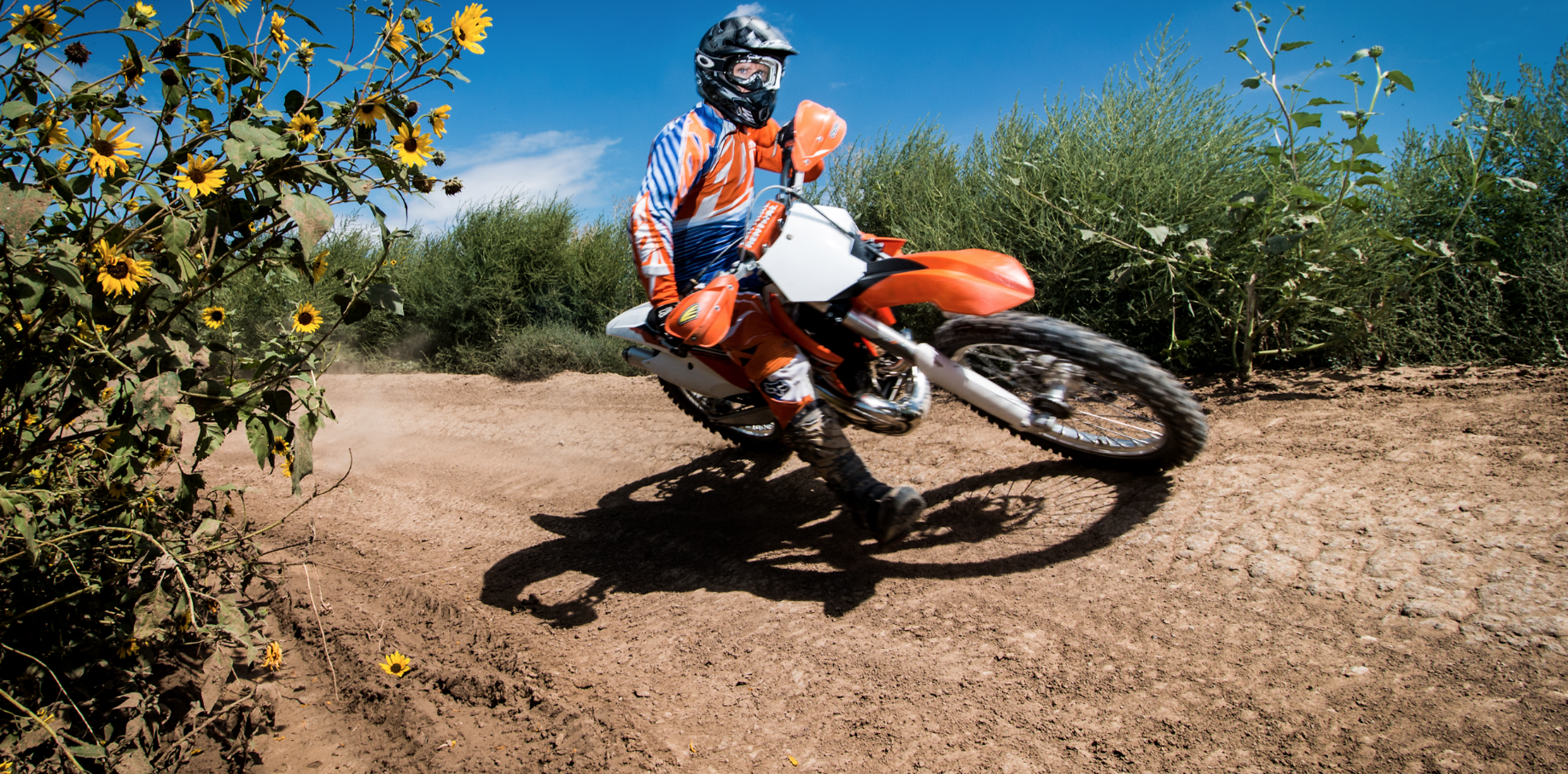 Screen Shot 2016-09-13 at 11.21.35 AM.png